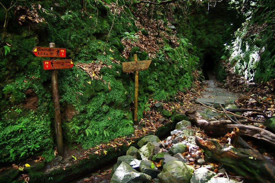 Levada Walk and Caldeirao Verde Waterfalls: Madeira - Guide style and group pace