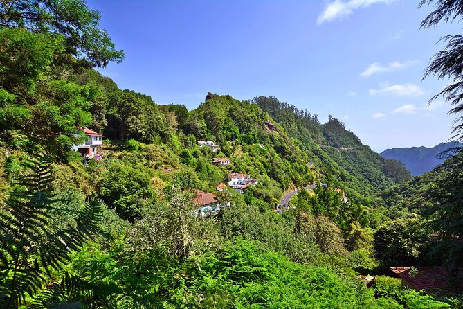 Levada Walk from Ribeiro Frio to Portela - How much value you get for $51.61