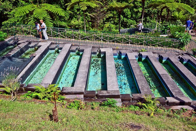 Levada Walk from Ribeiro Frio to Portela - Small details that improve the experience