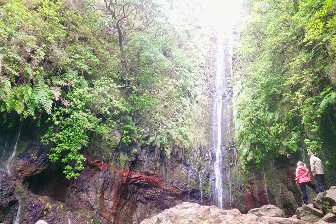 Levada & Waterfalls Hike 25 Fountains, Rabaçal, Risco more Challenging Walk - What the small group changes