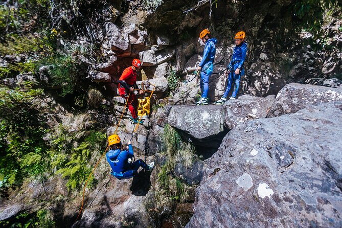 Level 1 - Canyoning For All - Beginner | Funchal - A short walk into Madeira’s canyon
