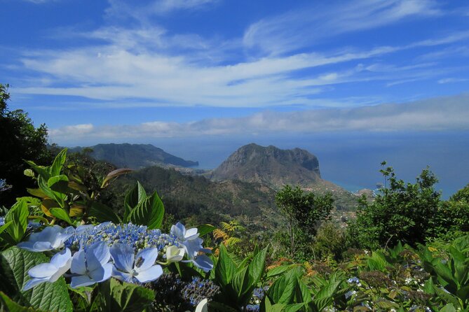 Local Farmers Market and 4WD Experience from Funchal - Price, pickup, and overall value