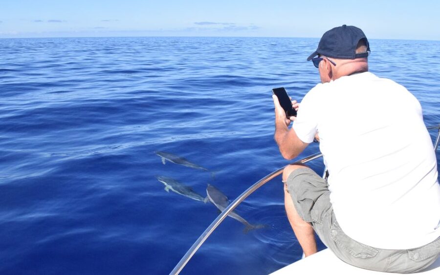 Madeira: 2.5-Hour Whale and Dolphin-Watching Cruise - Madeira’s coast from the water