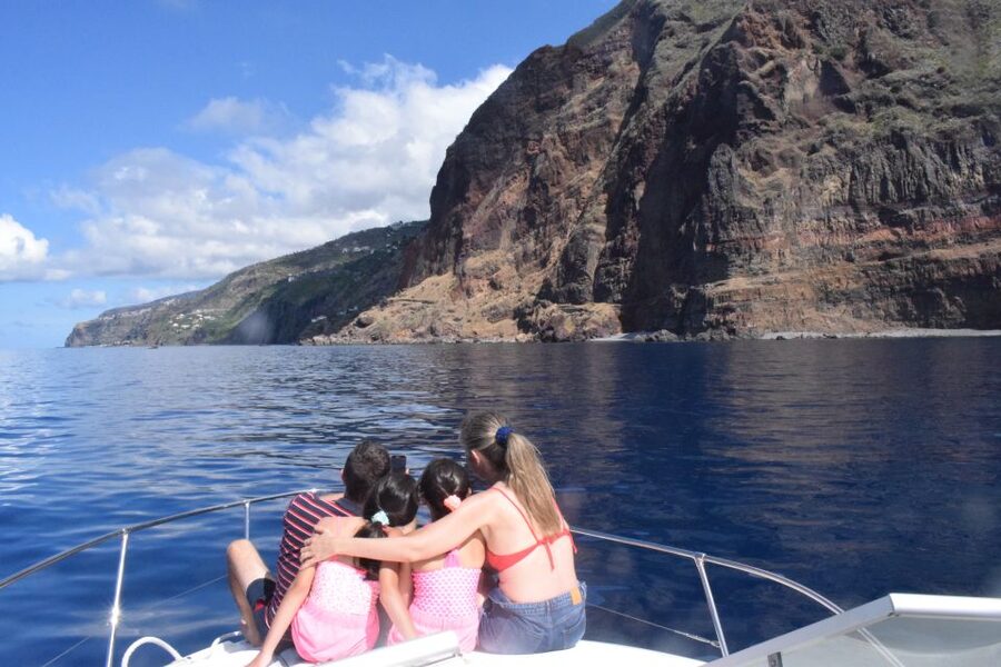 Madeira: 2.5-Hour Whale and Dolphin-Watching Cruise - Is the $81 price fair?