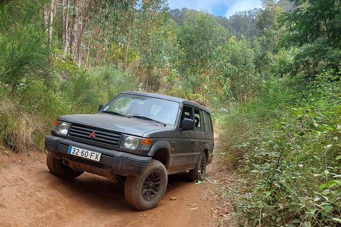 Madeira 4x4 Jeep Safari : Porto Moniz, Lava Pools & Fanal Forest - Câmara de Lobos starts the day with a fishing-village view