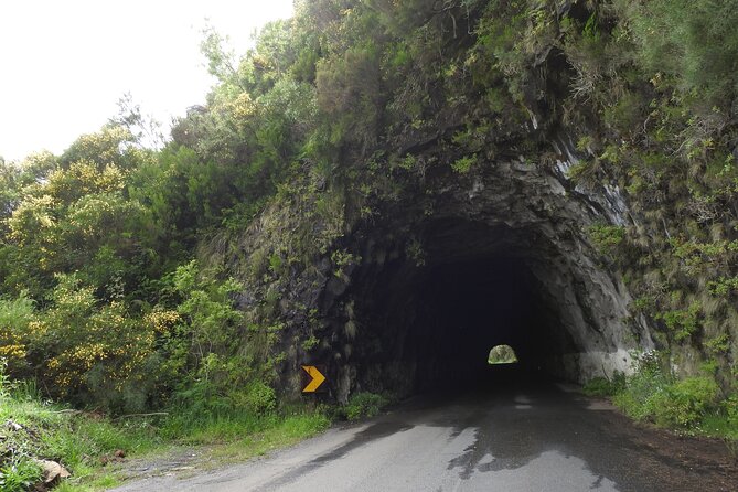 Madeira 4x4 Jeep Safari : Porto Moniz, Lava Pools & Fanal Forest - Ribeira da Janela adds a short coastal walk