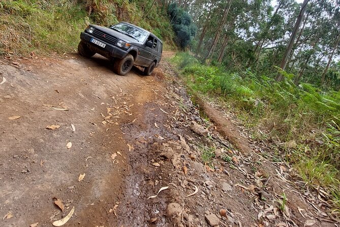 Madeira 4x4 Jeep Safari : Porto Moniz, Lava Pools & Fanal Forest - Porto Moniz gives you the day’s longest pause