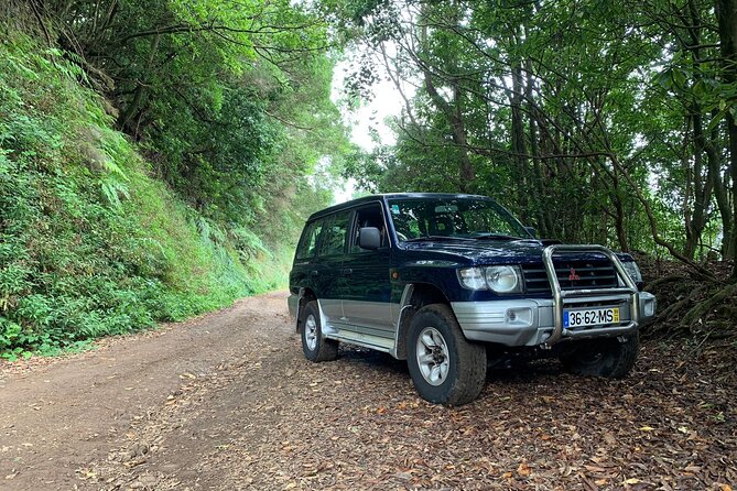 Madeira 4x4 Jeep Tour : Pico Arieiro & Santana Traditional Houses - Starting at 9:00 with a small 4x4 group