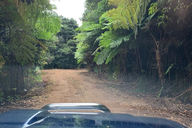 Madeira 4x4 Jeep Tour : Pico Arieiro & Santana Traditional Houses - Guindaste and the north coast