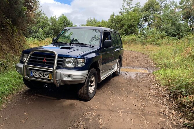Madeira 4x4 Jeep Tour : Pico Arieiro & Santana Traditional Houses - Ribeiro Frio and the Balcões walk