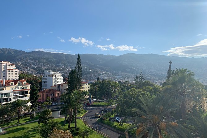 Madeira Airport Round Trip Shuttle Transfers Service - What the vehicle and luggage rules mean