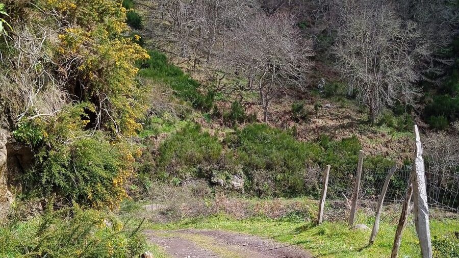 Madeira all day jeep nature tours. - Key points at a glance