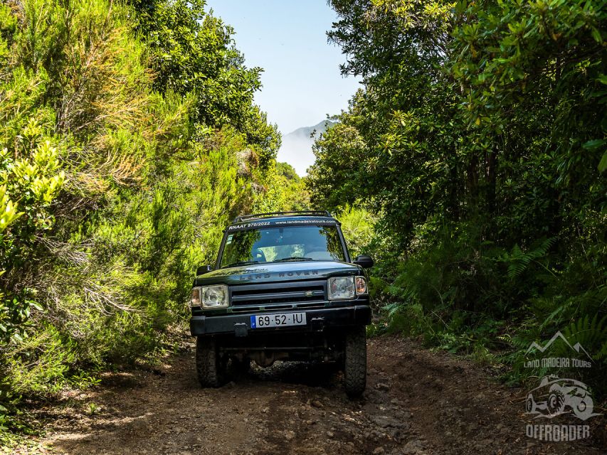 Madeira all day jeep nature tours. - Local food, bars, and the value of a private day