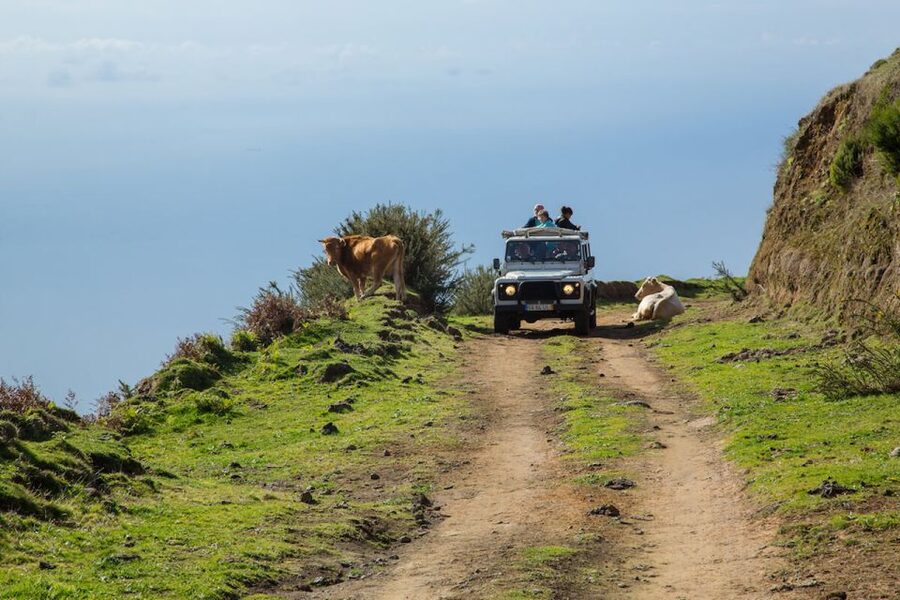 Madeira: Amazing West - Porto Moniz - Seixal and São Vicente keep the north coast moving