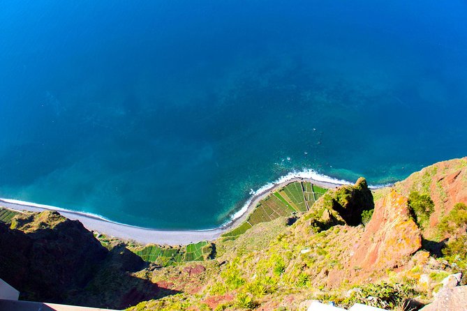 Madeira Best of the West Day Tour - Laurissilva forest on the way back to Funchal