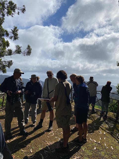 Madeira: Birdwatching - The Endemics - What the 4.5-hour schedule feels like