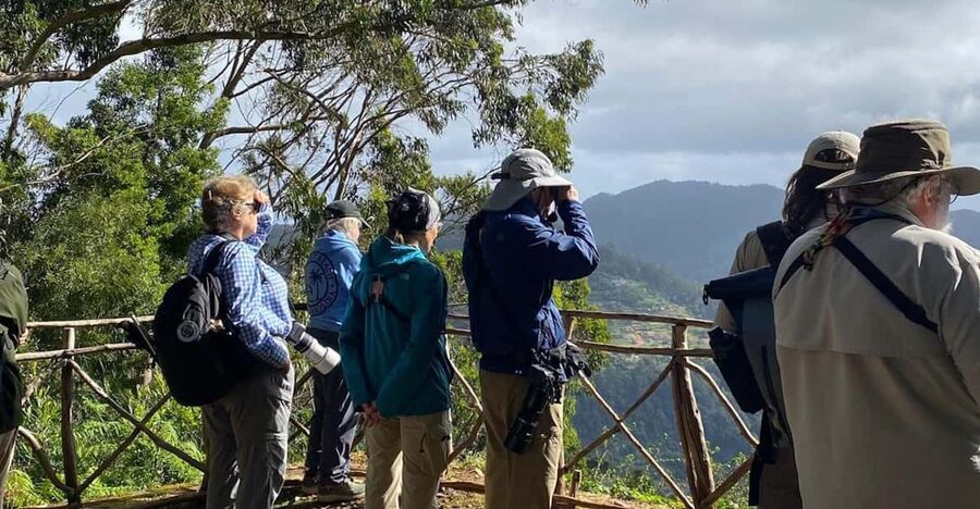 Madeira: Birdwatching - The Endemics - Should you book it?