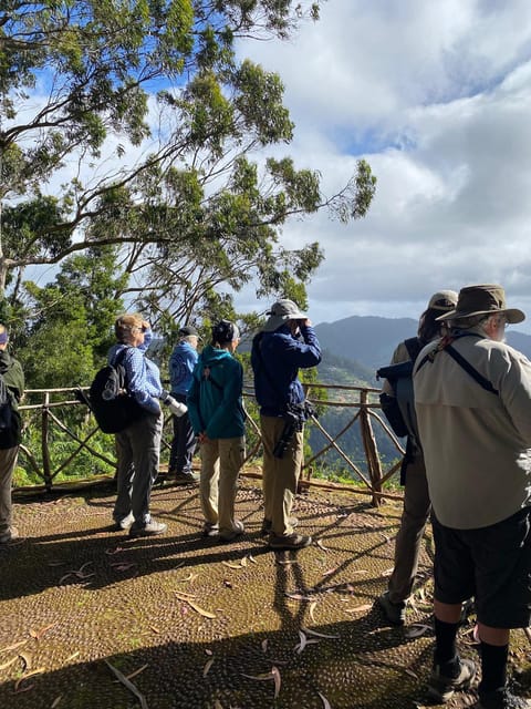 Madeira: Birdwatching - The Endemics - São Lourenço brings a different side of Madeira