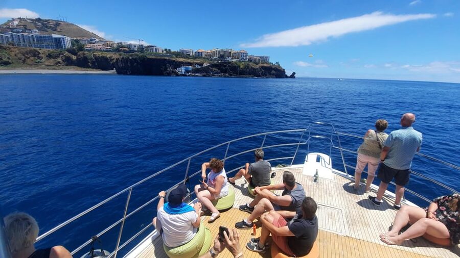 Madeira: Boat Trip with Lunch, Drinks, and Hotel Transfer - Should you book the Madeira boat trip?