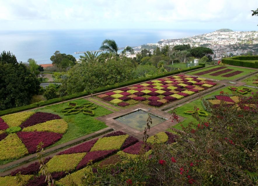 Madeira: Botanical Garden in a Tuk-Tuk Tour - Why this short Funchal tour works