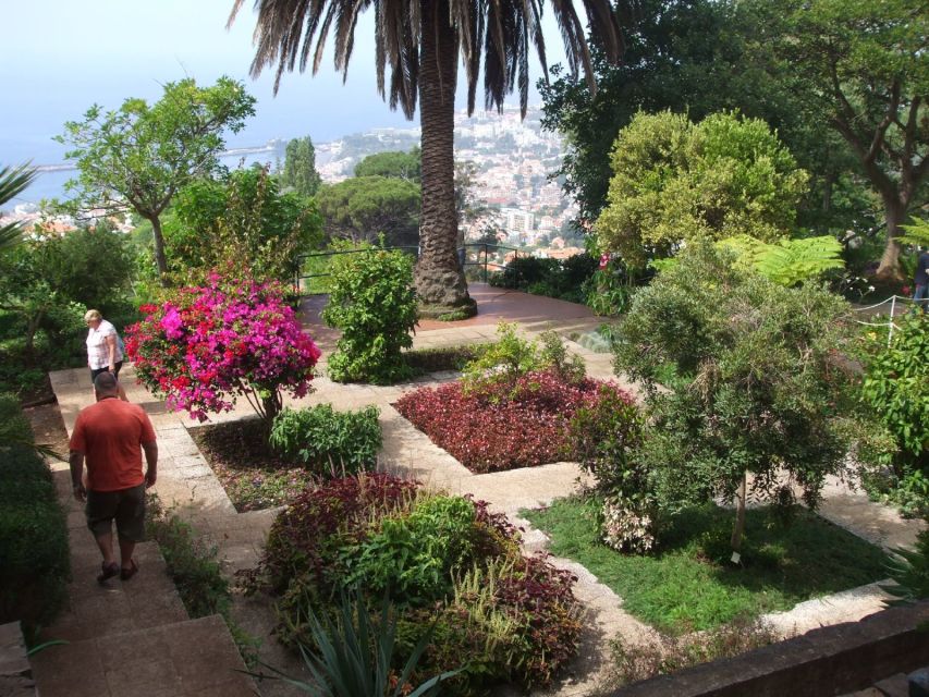 Madeira: Botanical Garden in a Tuk-Tuk Tour - Exploring Madeira’s Botanical Garden