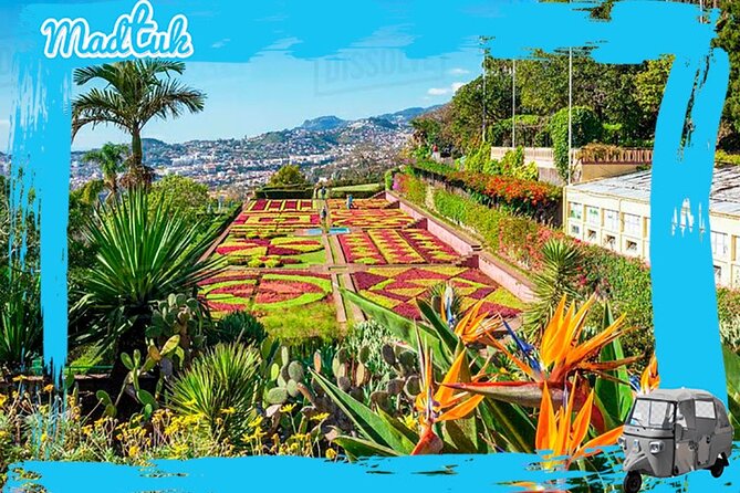Madeira Botanical Gardens and Old Town Tuk Tuk Tour by MadTuk - Key points to know before you book