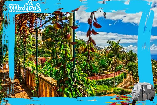 Madeira Botanical Gardens and Old Town Tuk Tuk Tour by MadTuk - Seeing Funchal’s Old Zone by Tuk Tuk