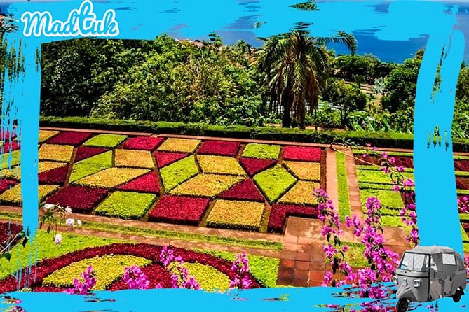 Madeira Botanical Gardens and Old Town Tuk Tuk Tour by MadTuk - What the Guides Add to the Ride
