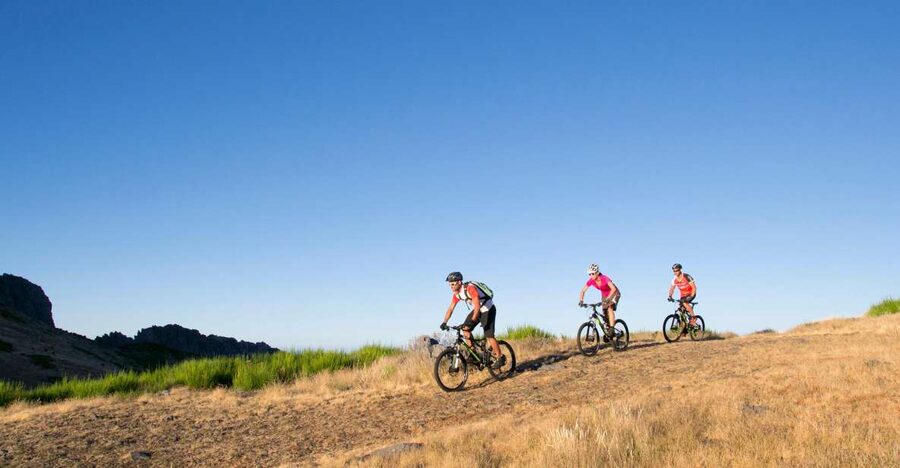 Madeira Botanical Levels Bike Tour – Scenic Trail Experience - Key points before you book