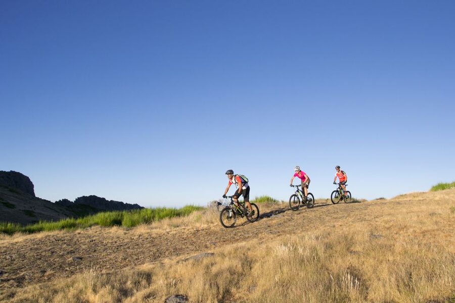 Madeira Botanical Levels Bike Tour – Scenic Trail Experience - Laurel, eucalyptus, pine, and mountain weather
