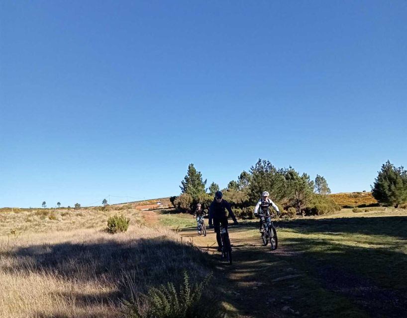 Madeira Botanical Levels Bike Tour – Scenic Trail Experience - What the bike and equipment mean on rough ground