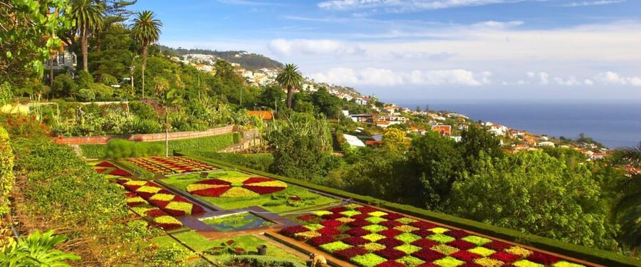 Madeira: Botanical, Monte Palace, and Palheiro Gardens - Madeira Botanical Garden: plants with a view