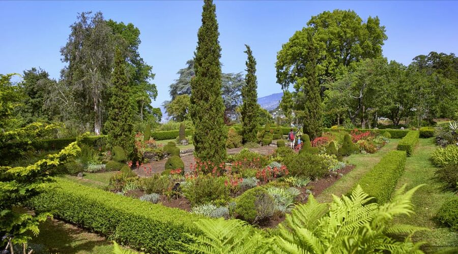 Madeira: Botanical, Monte Palace, and Palheiro Gardens - What the guide adds to the experience