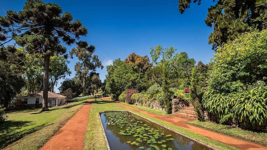Madeira: Botanical, Monte Palace, and Palheiro Gardens - How to make the four hours work