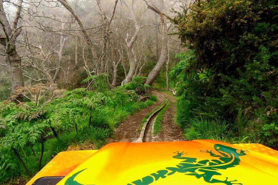 Madeira : Cabo Girao and Camara de Lobo 4WD half-day Tour - Should you book the Cabo Girão and Câmara de Lobos tour?