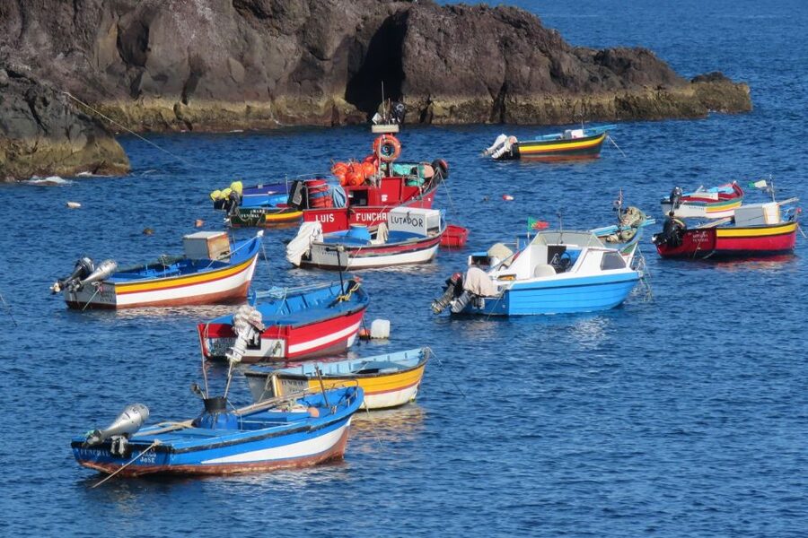 Madeira : Cabo Girao and Camara de Lobo 4WD half-day Tour - Guide quality and language need attention