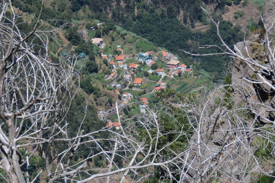 Madeira : Cabo Girao and Camara de Lobo 4WD half-day Tour - Who should book this half-day tour?