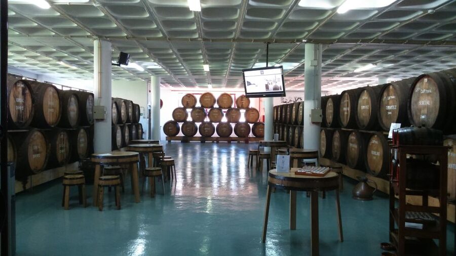 Madeira: Cabo Girao, Jeep Tour Adventure and Wine Tasting - Who will enjoy this Madeira tour most