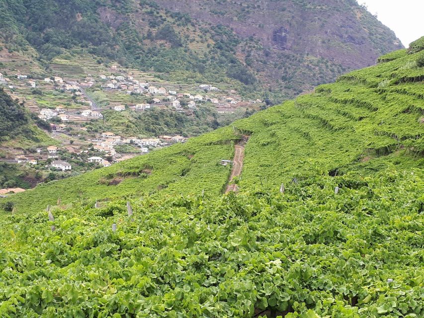 Madeira: Cabo Girão, Wine Tasting, & Serra d'Água Jeep Tour - From Funchal to Madeira’s famous glass platform