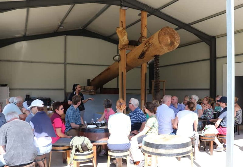 Madeira: Cabo Girão, Wines Experience and Dolphins Watching - Quinta do Barbusano puts the wine at the heart of the day