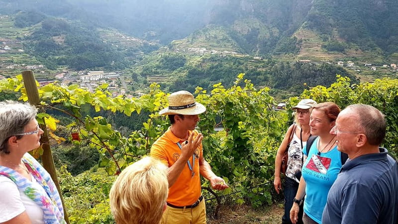 Madeira: Cabo Girão, Wines Experience and Dolphins Watching - The Funchal Marina break is useful, not luxurious