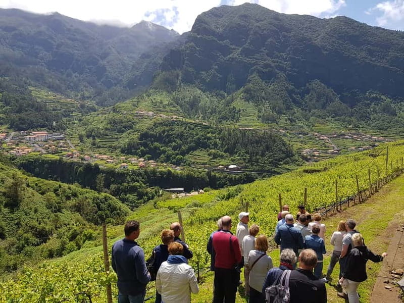 Madeira: Cabo Girão, Wines Experience and Dolphins Watching - Summer swimming below Cabo Girão