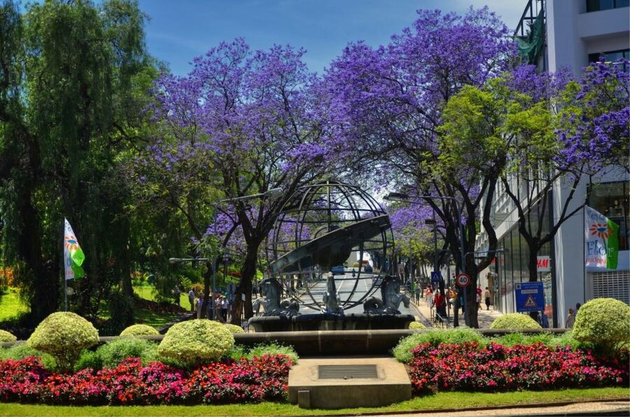Madeira: Customized 3, 4 or 6-Hour Tour - Is $153 good value for up to three people?