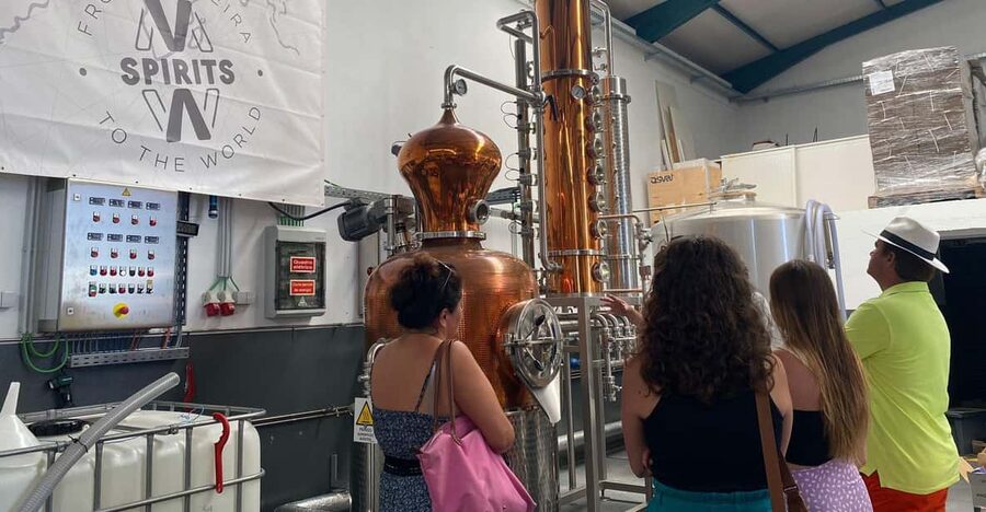 Madeira: Distilleries - Madeira’s rum story starts with sugarcane