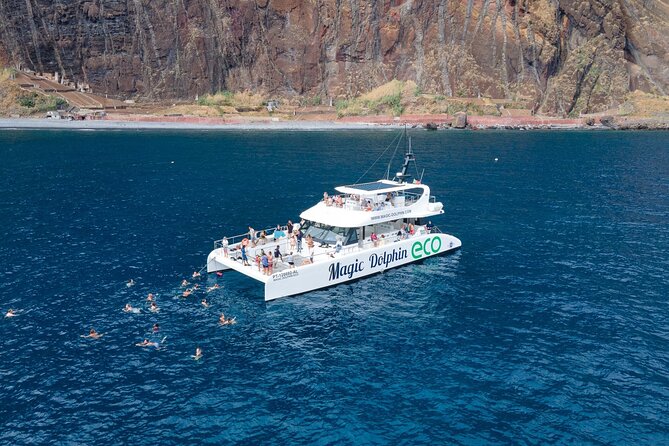 Madeira Dolphin and Whale Watching on a Ecological Catamaran - Key points to know before booking