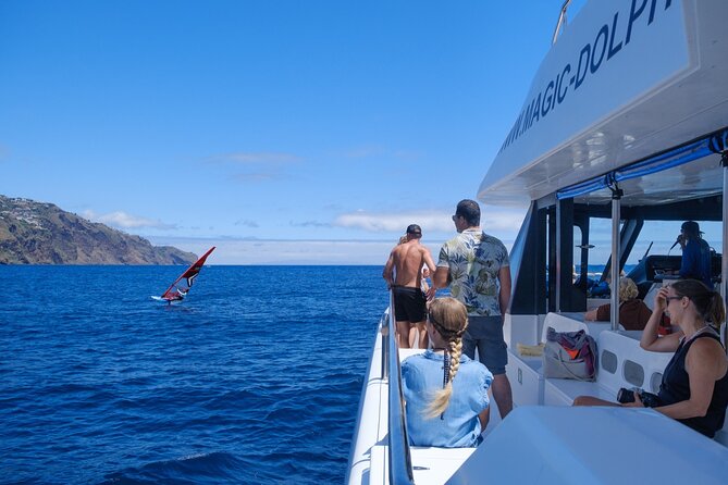 Madeira Dolphin and Whale Watching on a Ecological Catamaran - Cabo Girão, Câmara de Lobos, and the southern coast