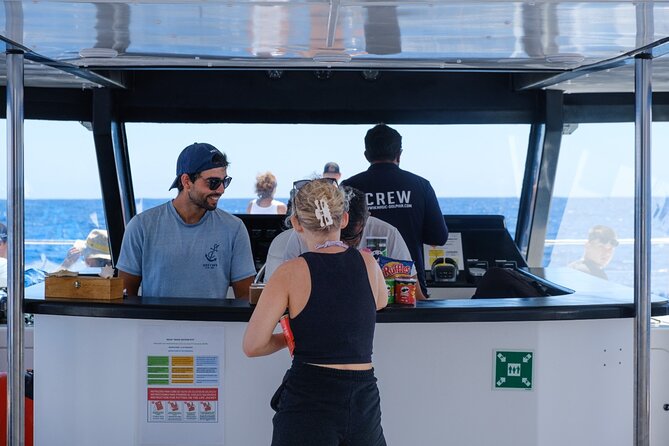 Madeira Dolphin and Whale Watching on a Ecological Catamaran - Searching the water with shore-based spotters