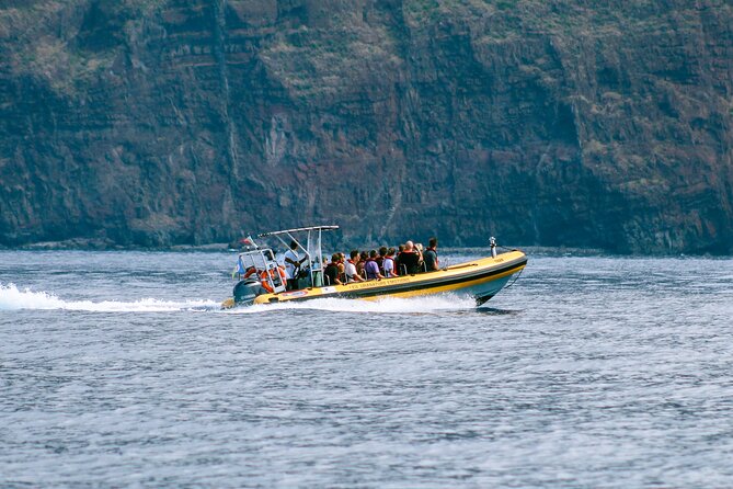 Madeira Dolphin & Whale Watching Tour - Madeira from the water