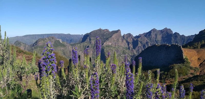 Madeira East Island Tour and Levada Walk - Key things to know before booking