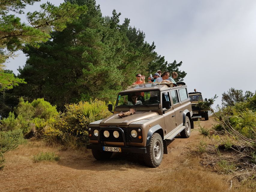 Madeira East or West Private Half-Day Tour by Open-Top Jeep - What the private price means for your group